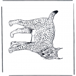 Dyre-malesider - Lynx