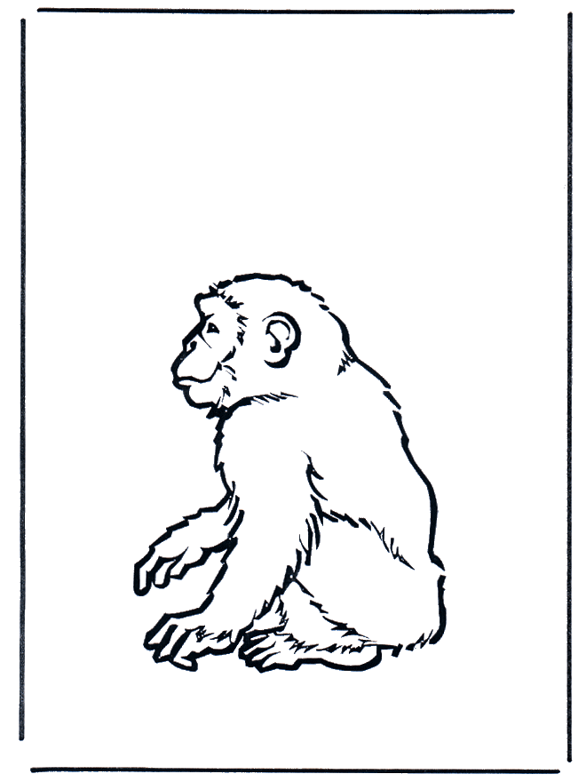 Monkey 2 - Zoo-malesider