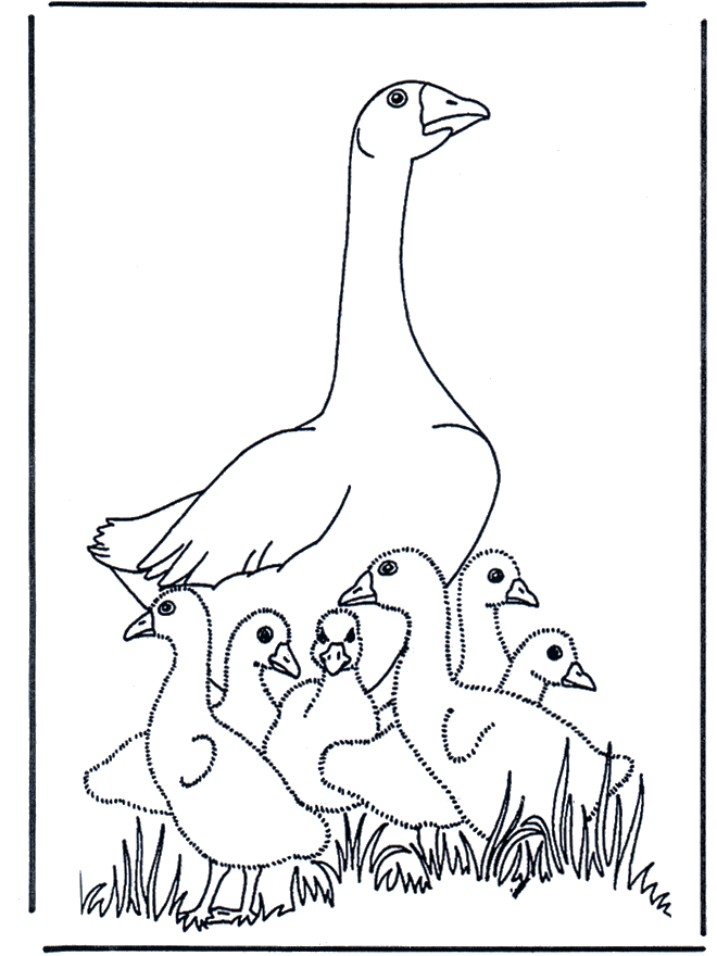 Mother goose - Fugle-malesider