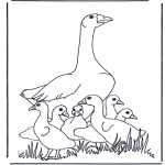 Dyre-malesider - Mother goose