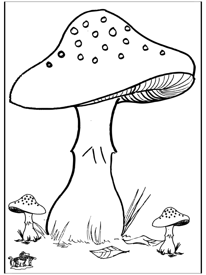 Mushroom 3 - Malesider - efterår