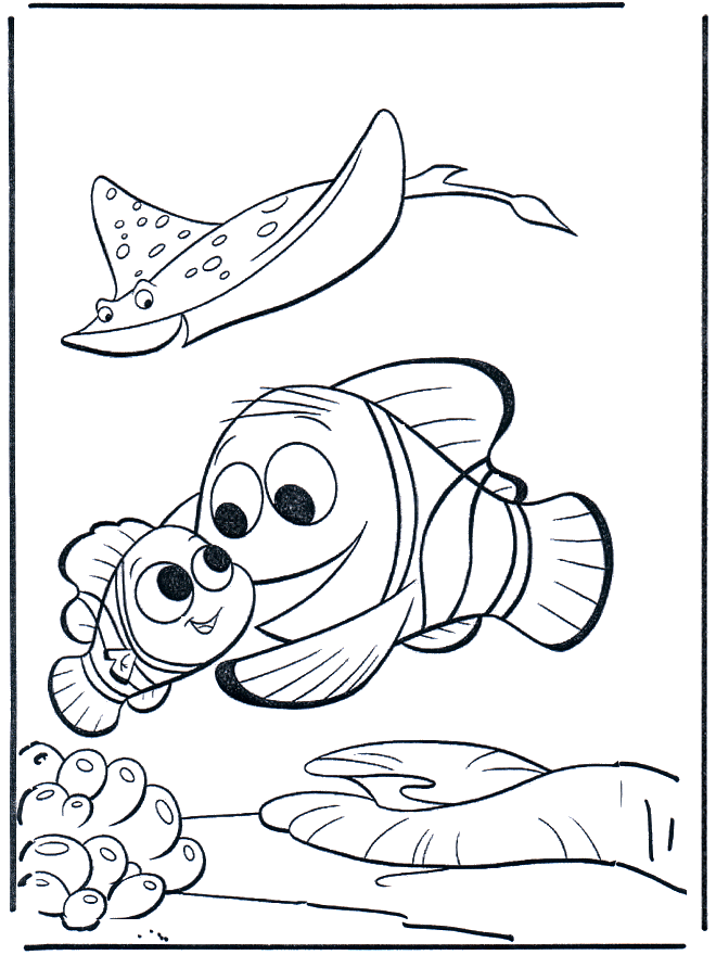 Nemo 14 - Malesider med Nemo