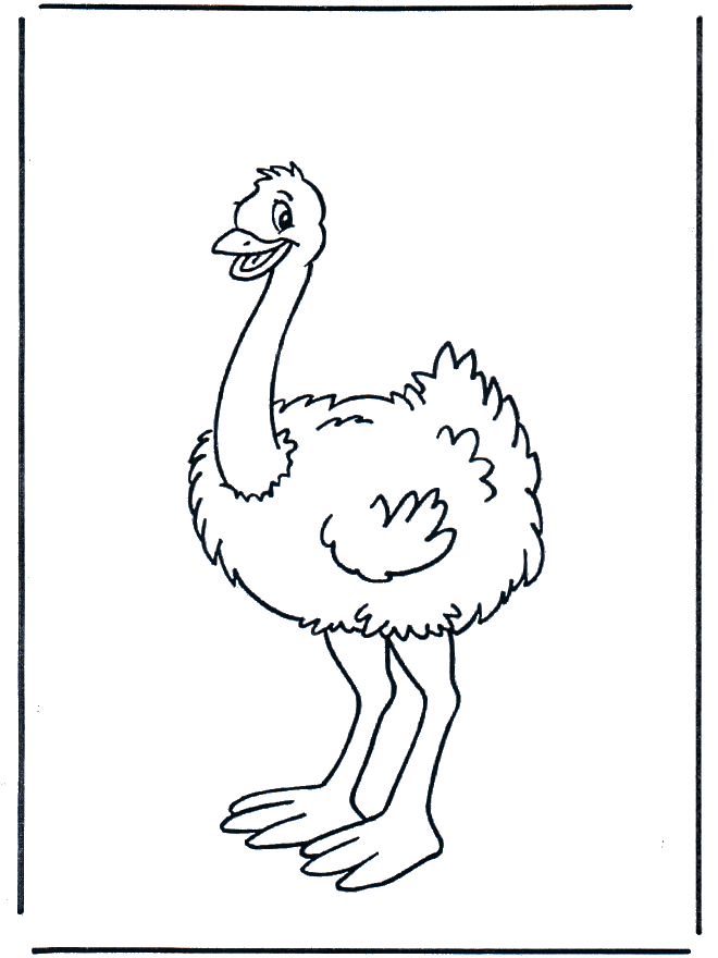 Ostrich 1 - Fugle-malesider