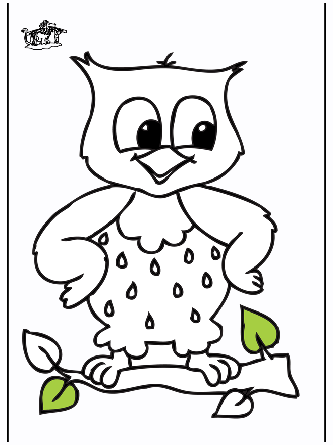 Owl - Fugle-malesider