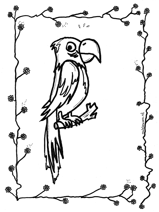 Parrot on stick - Fugle-malesider