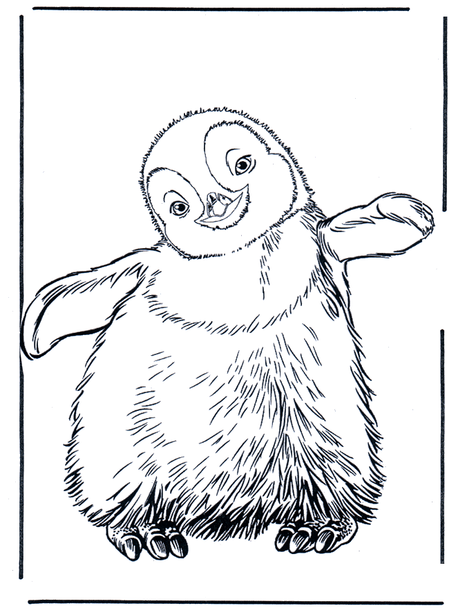 Penguin 3 - Zoo-malesider