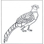 Dyre-malesider - Pheasant