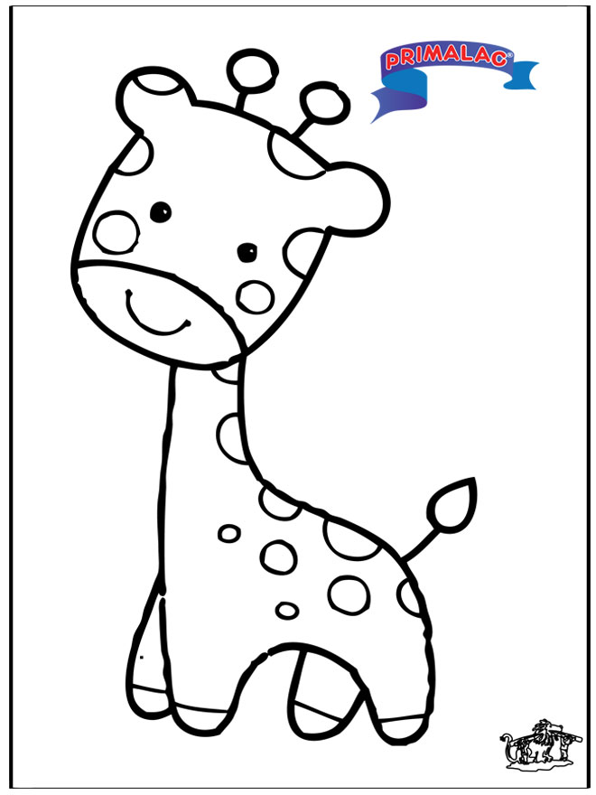 Primalac giraffe - Zoo-malesider