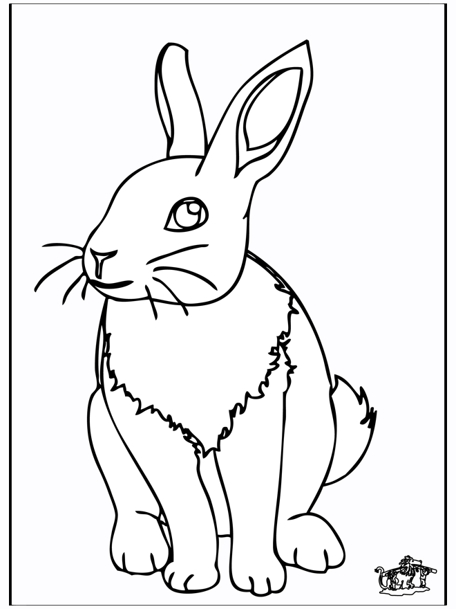 Rabbit 4 - Malesider med gnavere
