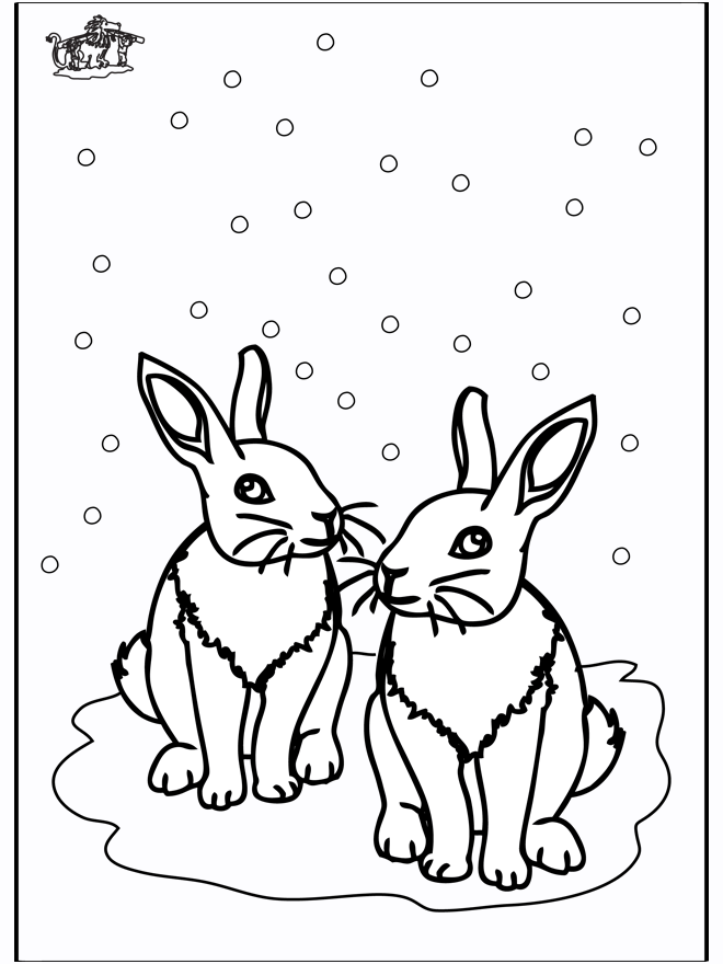Rabbits - Malesider med vinterdyr