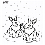 Vinter-malesider - Rabbits