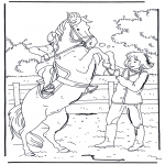 Dyre-malesider - Rearing horse