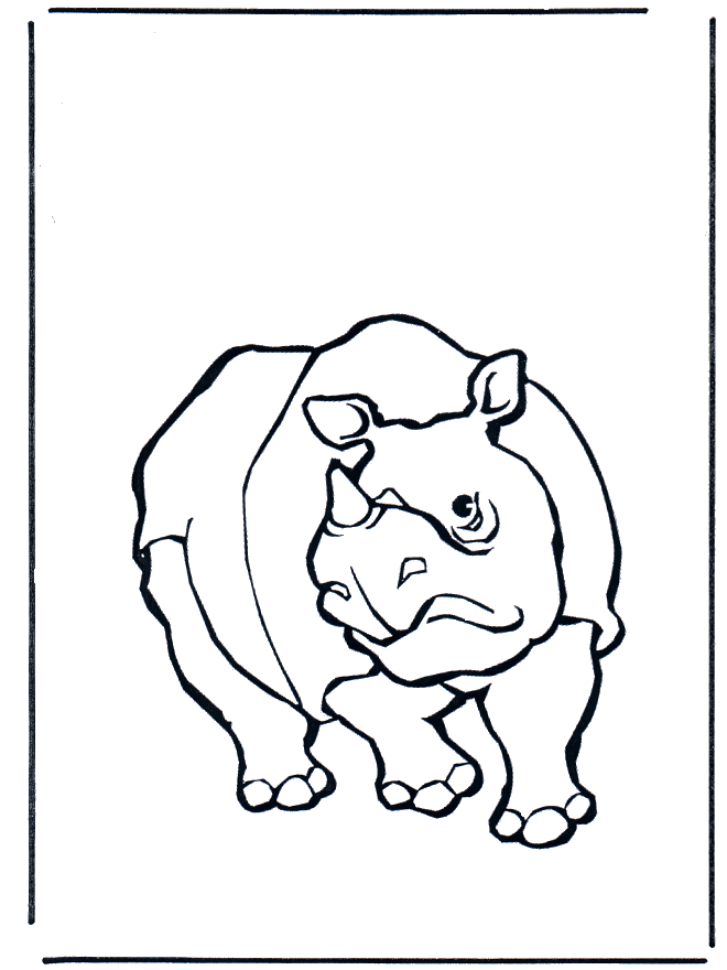 Rhino 1 - Zoo-malesider