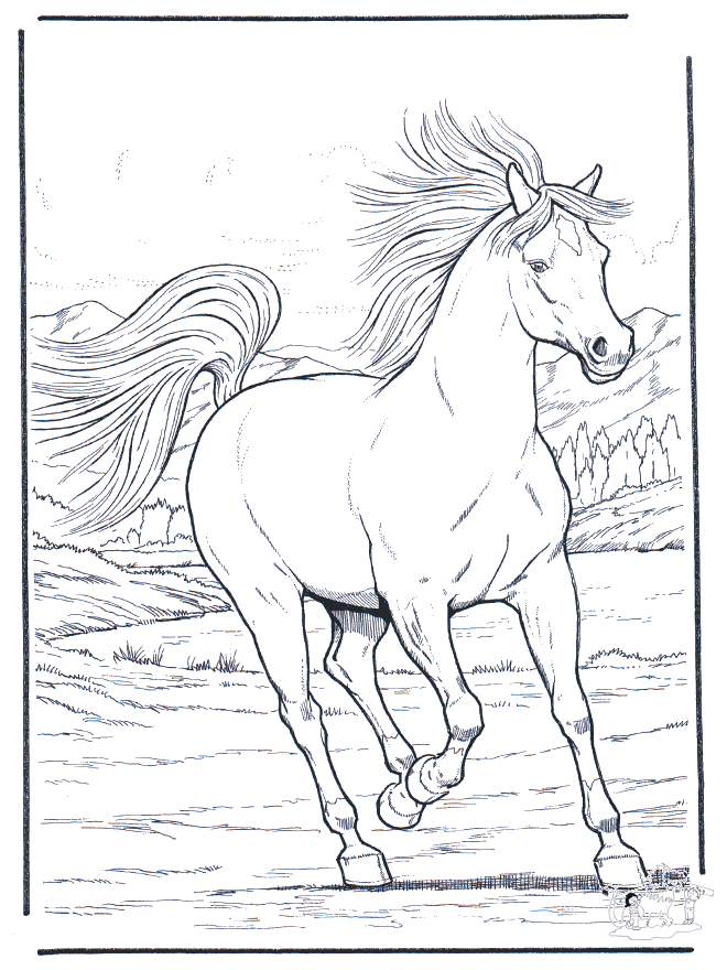 Running horse - Heste-malesider