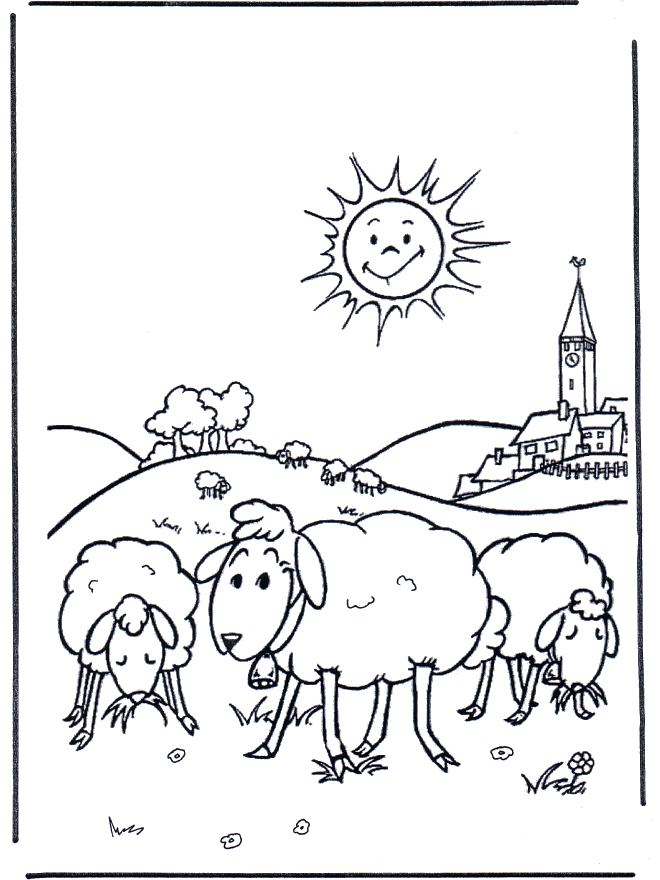 Sheep in the meadow - Bondegårds-malesider
