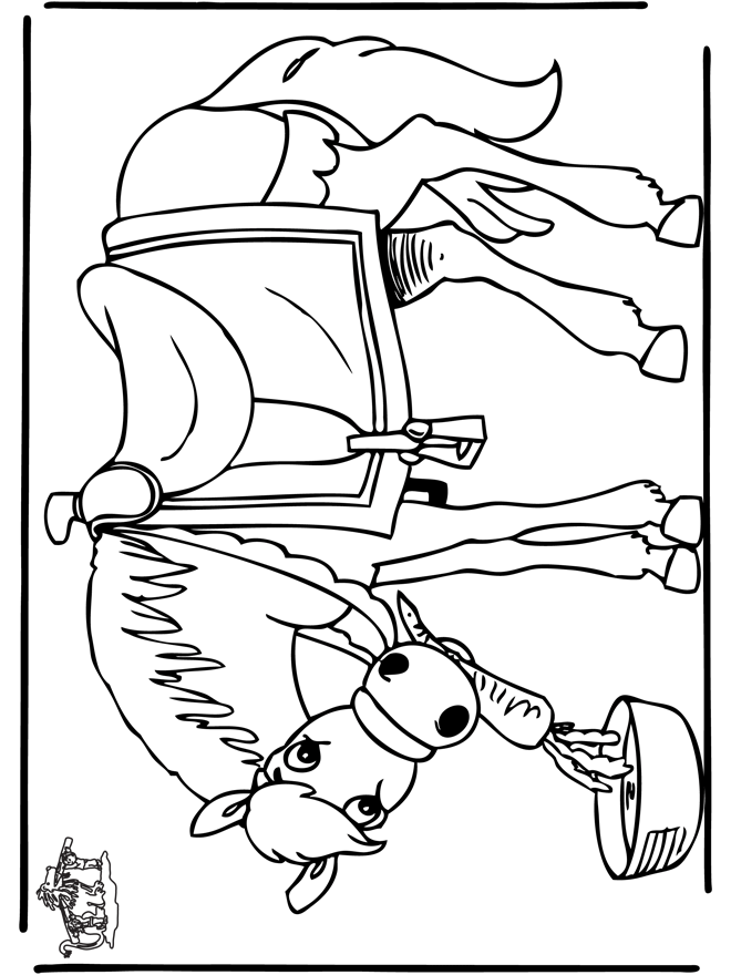 Sinterklaas 24