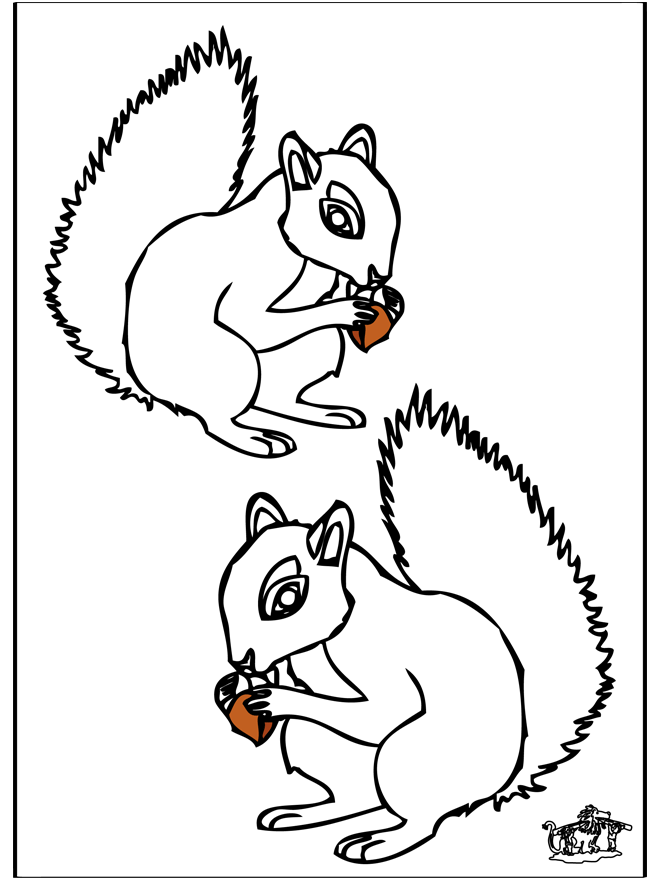 Squirrel 4 - Malesider med gnavere