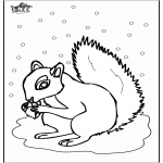 Dyre-malesider - Squirrel 5