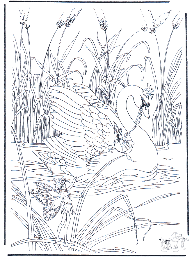 Swan - Fugle-malesider