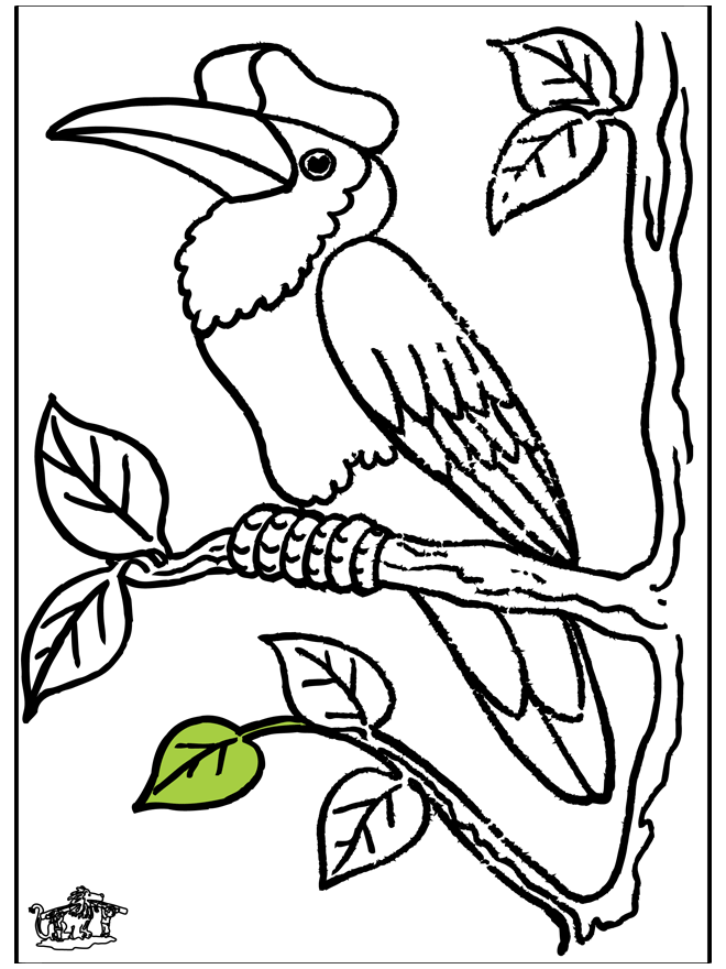Toucan - Fugle-malesider