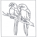 Dyre-malesider - Two parrots