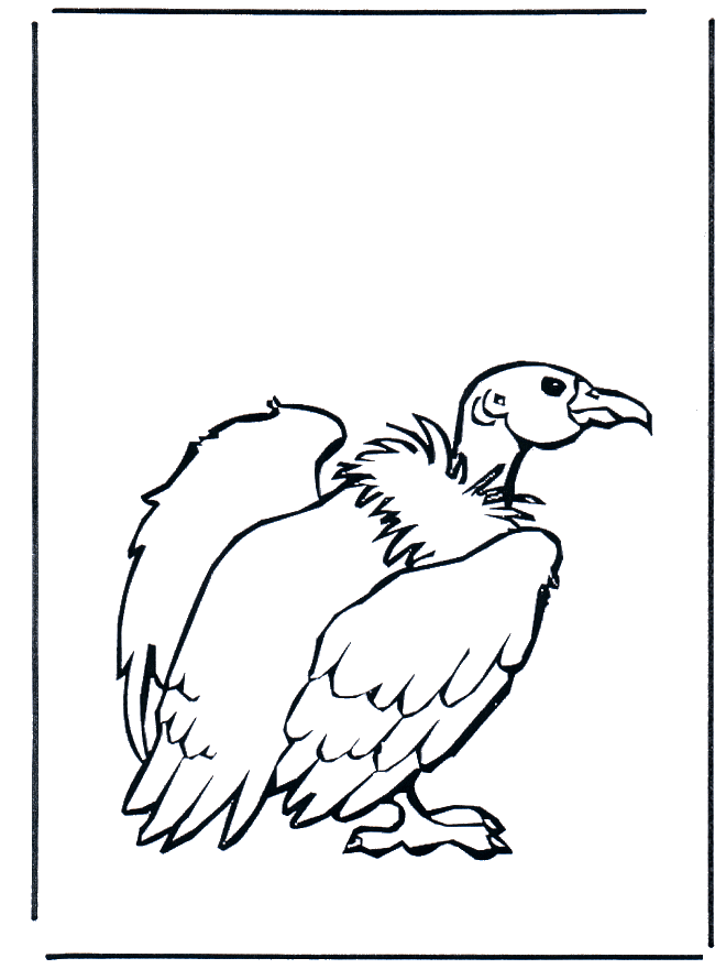 Vultures - Fugle-malesider