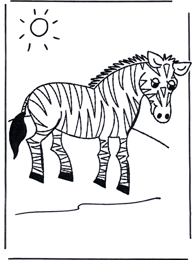 Zebra - Zoo-malesider